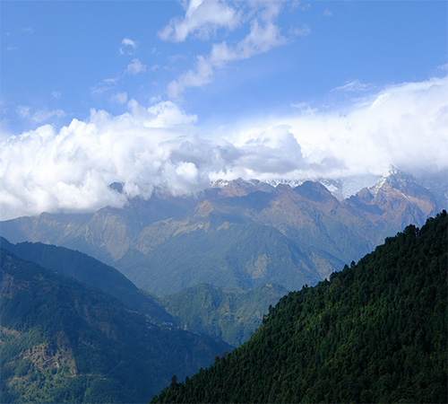 Mesmerizing Darjeeling Escape
