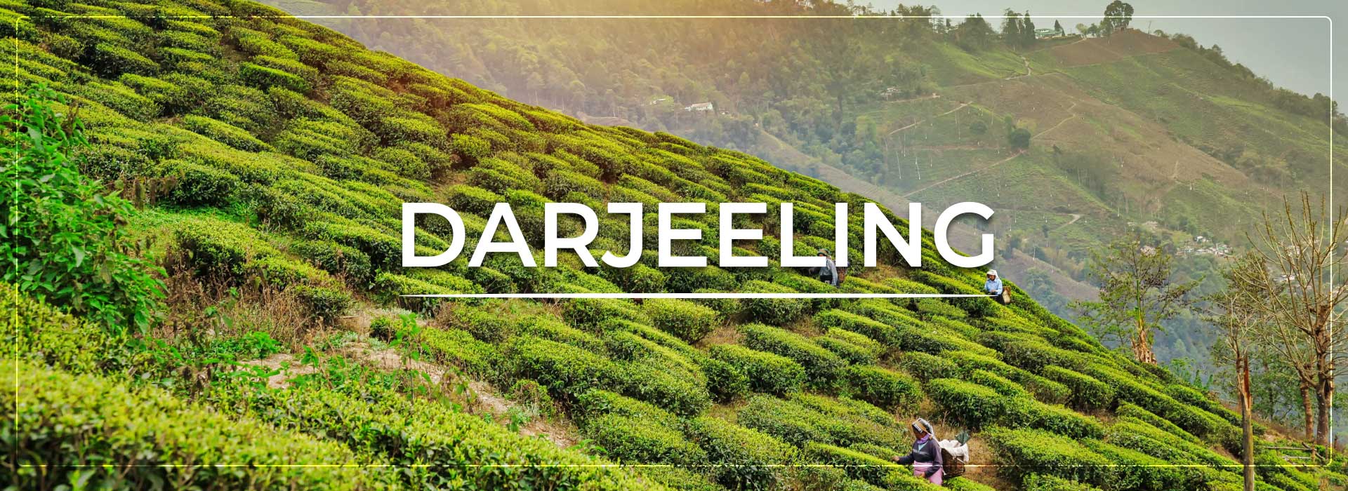 Cab Rental Siliguri